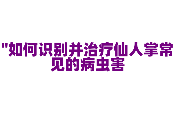 "如何识别并治疗仙人掌常见的病虫害？"